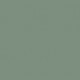 stonewashed green (WE)